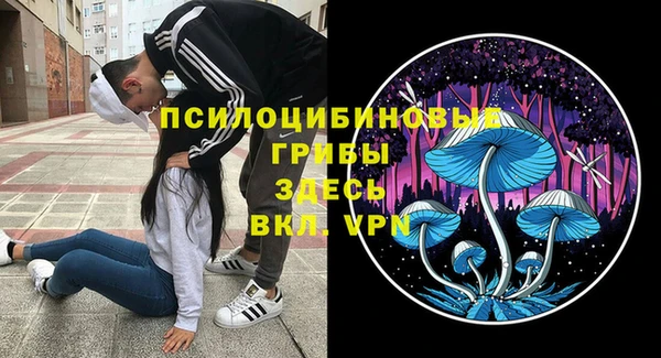 мяу мяу мука Богородицк