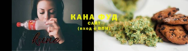 ГАЛЛЮЦИНОГЕННЫЕ ГРИБЫ Белокуриха