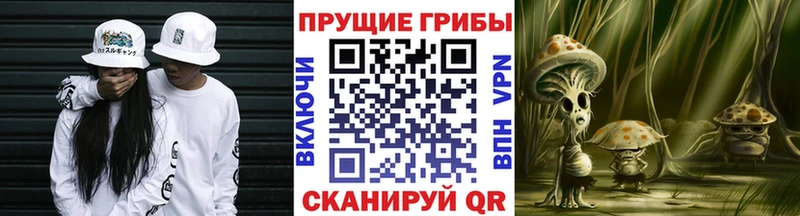 ОМГ ОМГ зеркало  Можайск  Псилоцибиновые грибы Psilocybe  где можно купить наркотик 